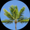 mav_clothes